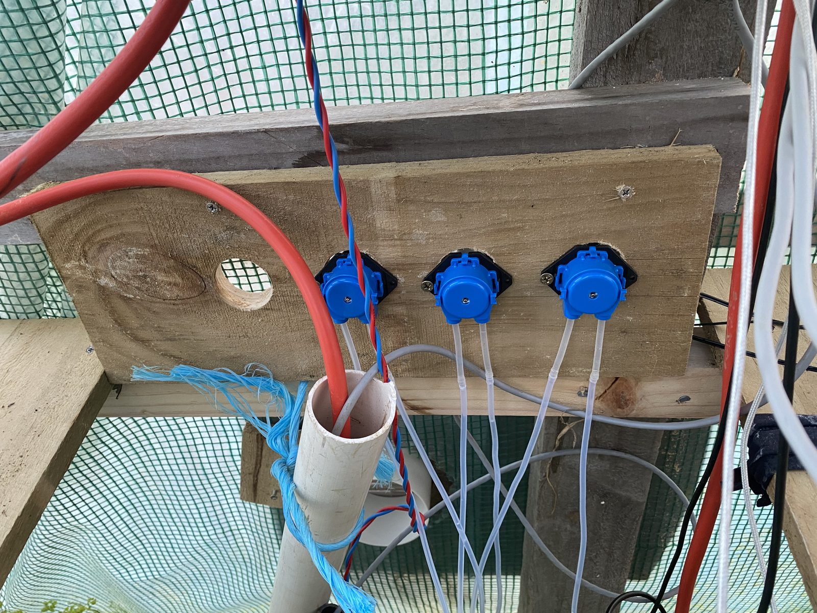 Three blue peristaltic dosing pumps mounted through a wooden board, silicone tubing running down into a white PVC conduit