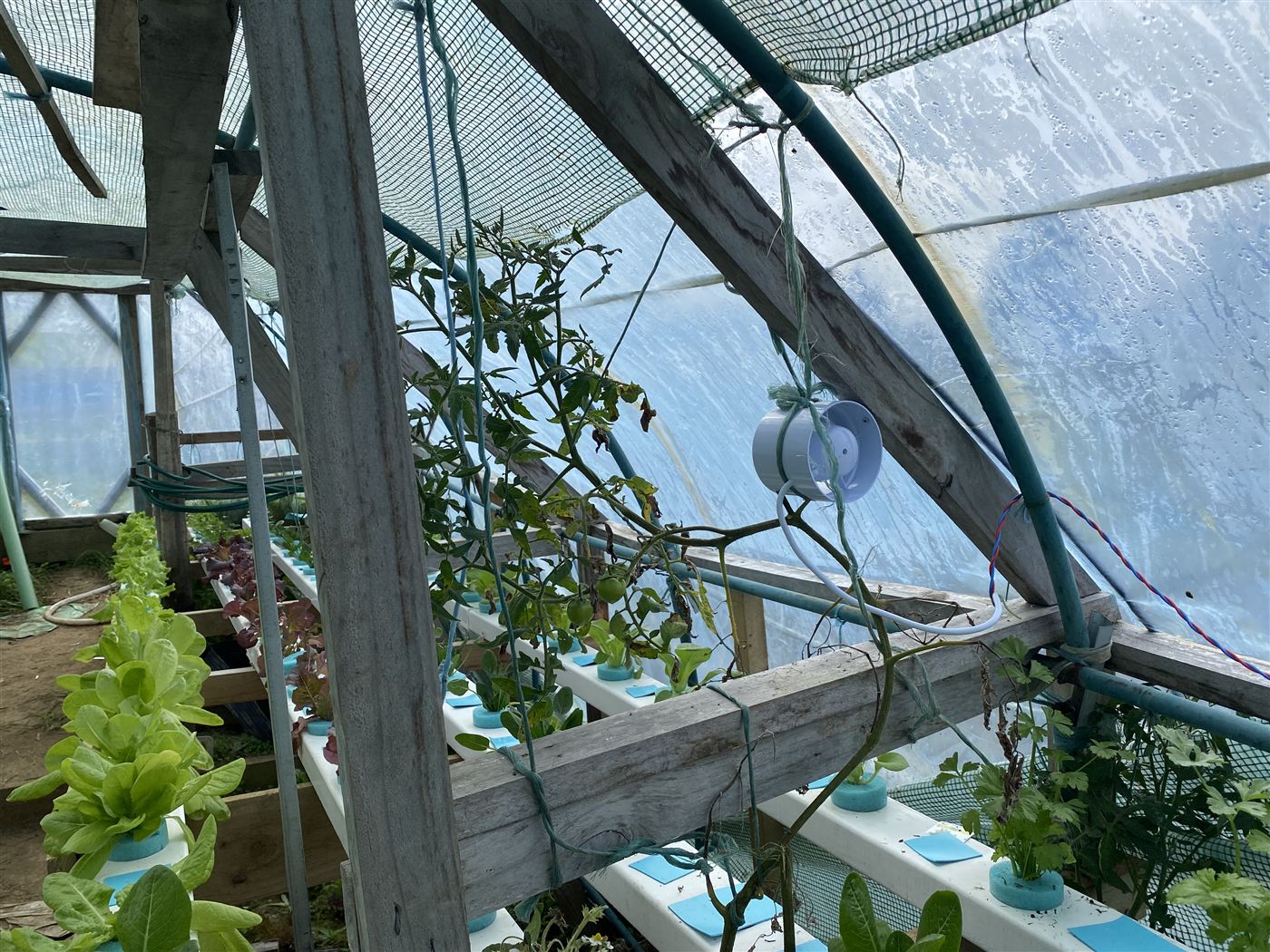 Small white circulation fan hung above the top NFT channel