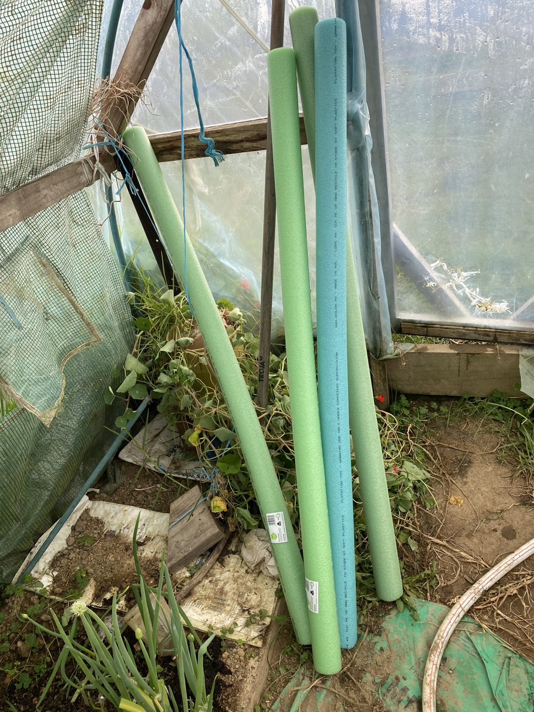 Pool noodles leaning against the hoop house wall